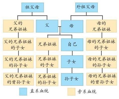 外孫女是直系血親嗎|【直系親屬包括哪些？】